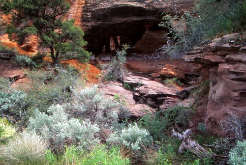 Colorado National Monument