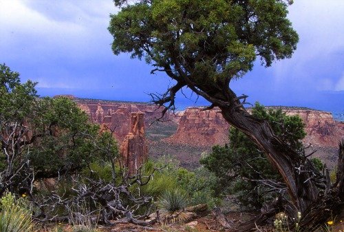 Colorado National Monument