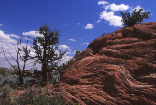 Sandstone Upheaval - Canyonlands NP